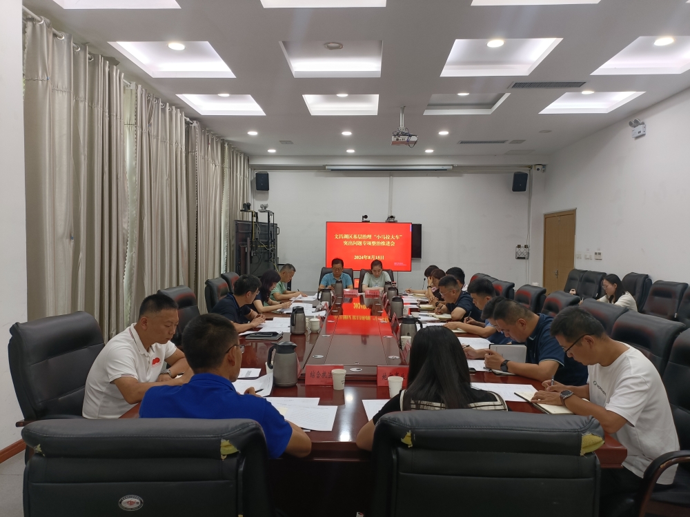 文昌湖區召開基層治理“小馬拉大車”突出問題專項整治工作推進會